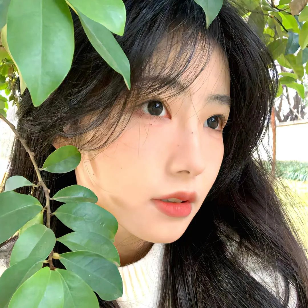 理想照耀中国