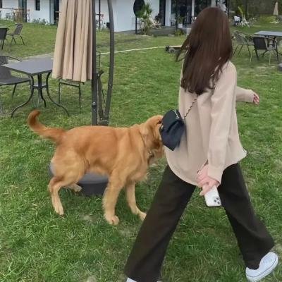 一封小情书